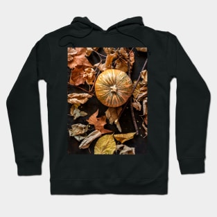 Autumnal background with dried leaves and various fruits Hoodie